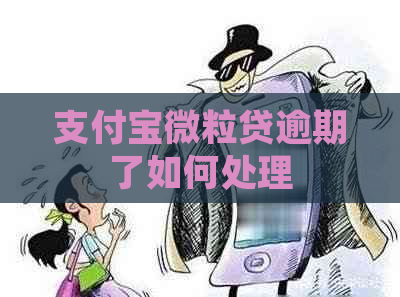 支付宝微粒贷逾期了如何处理