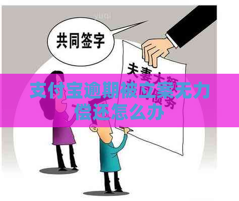 支付宝逾期被立案无力偿还怎么办