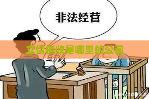 立借是哪里的公司