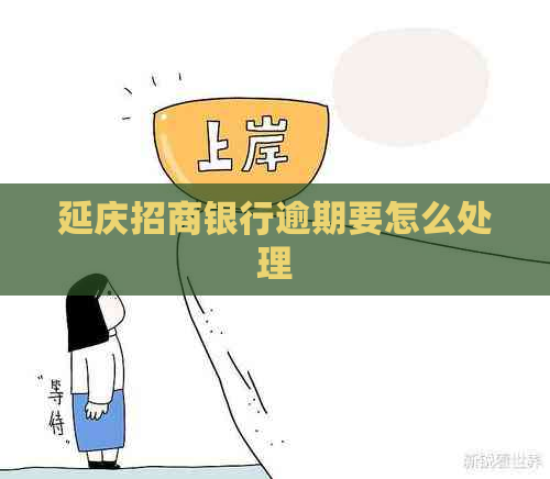 延庆招商银行逾期要怎么处理