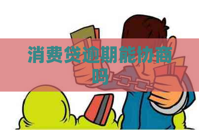 消费贷逾期能协商吗