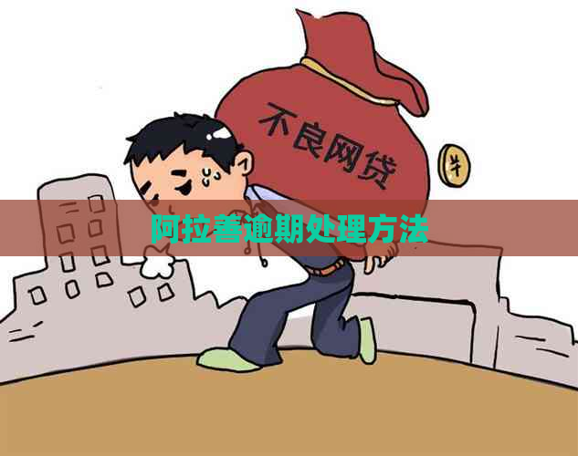 阿拉善逾期处理方法