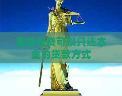 哪些网贷可以只还本金的贷款方式