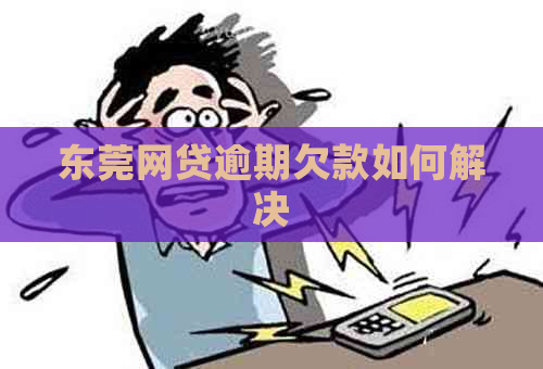 东莞网贷逾期欠款如何解决