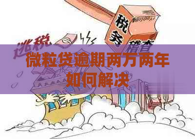 微粒贷逾期两万两年如何解决