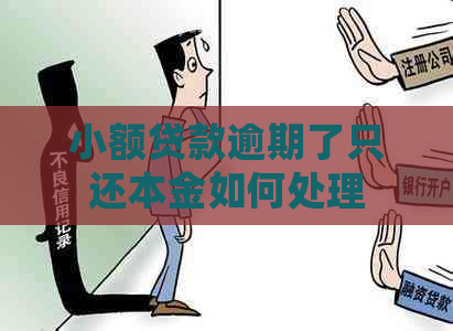 小额贷款逾期了只还本金如何处理