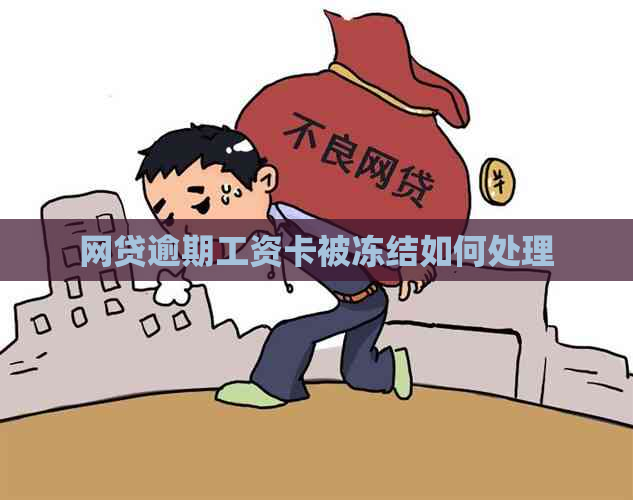 网贷逾期工资卡被冻结如何处理