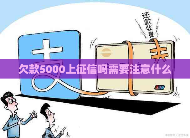 欠款5000上吗需要注意什么