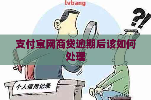 支付宝网商贷逾期后该如何处理