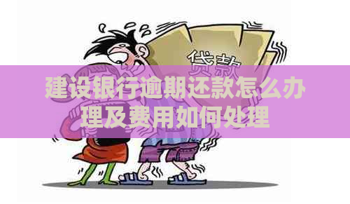 建设银行逾期还款怎么办理及费用如何处理