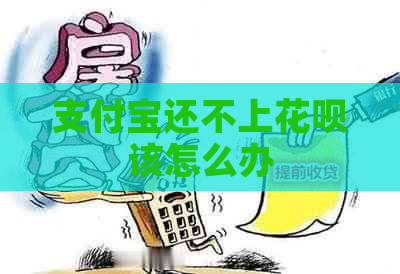 支付宝还不上花呗该怎么办