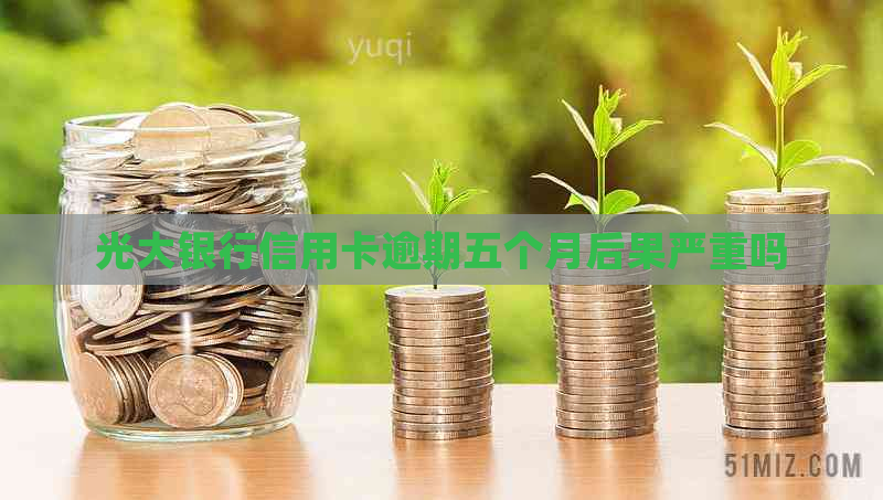 光大银行信用卡逾期五个月后果严重吗