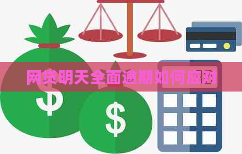 网贷明天全面逾期如何应对