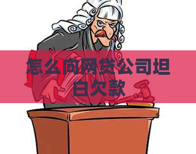 怎么向网贷公司坦白欠款