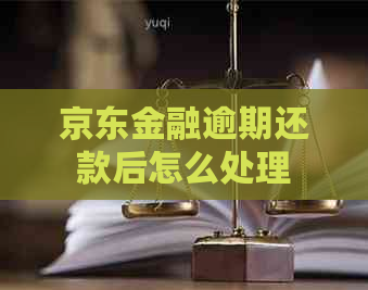 京东金融逾期还款后怎么处理