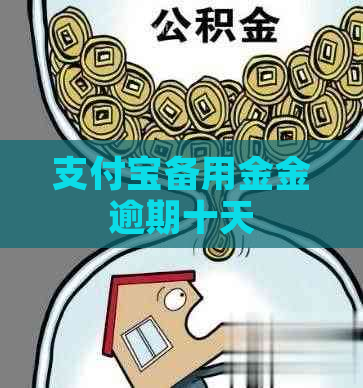 支付宝备用金金逾期十天