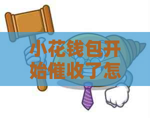 小花钱包开始了怎么办