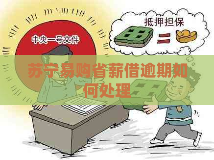 苏宁易购省薪借逾期如何处理