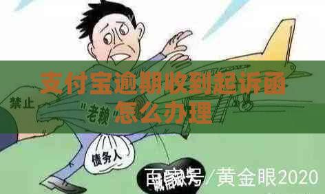 支付宝逾期收到起诉函怎么办理