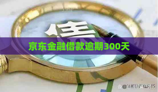 京东金融借款逾期300天