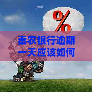 秦农银行逾期一天应该如何处理