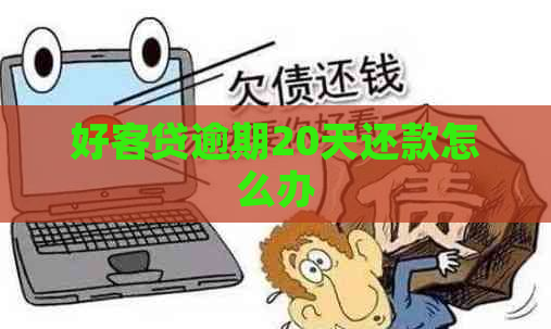 好客贷逾期20天还款怎么办