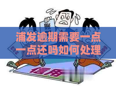 浦发逾期需要一点一点还吗如何处理