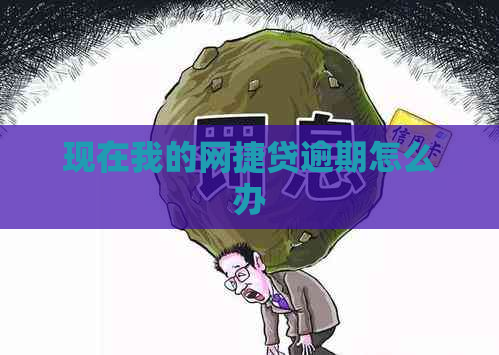 现在我的网捷贷逾期怎么办