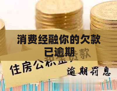 消费经融你的欠款已逾期