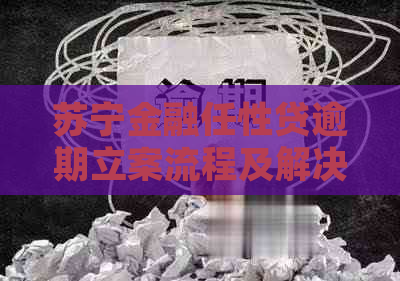 苏宁金融任性贷逾期立案流程及解决方案