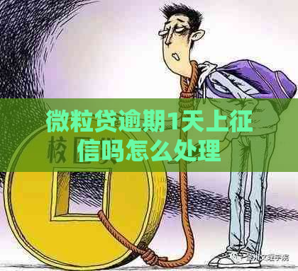 微粒贷逾期1天上吗怎么处理