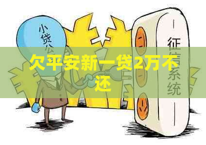 欠平安新一贷2万不还