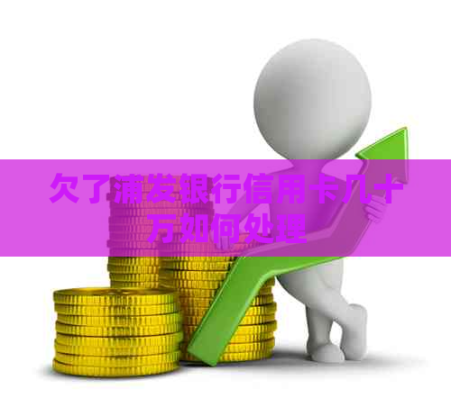 欠了浦发银行信用卡几十万如何处理