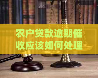 农户贷款逾期应该如何处理有效提高回收率