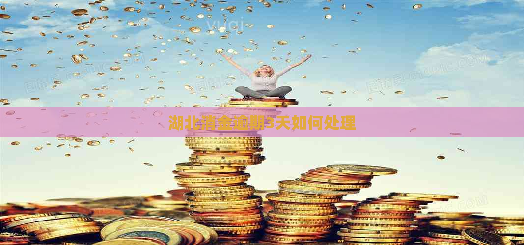 湖北消金逾期3天如何处理