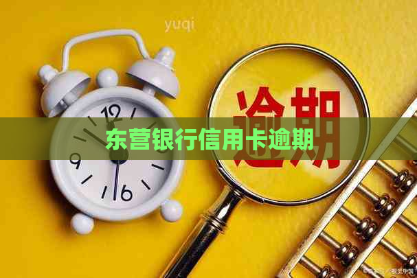 东营银行信用卡逾期