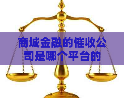 商城金融的公司是哪个平台的