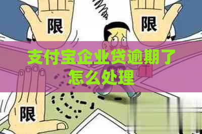 支付宝企业贷逾期了怎么处理