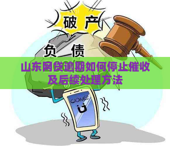 山东网贷逾期如何停止及后续处理方法