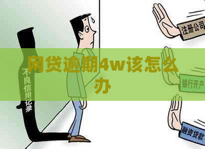 网贷逾期4w该怎么办