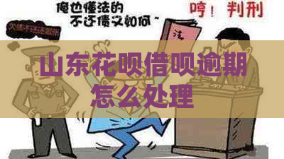 山东花呗借呗逾期怎么处理