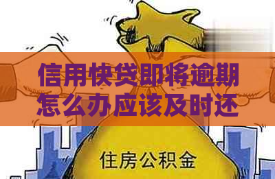 信用快贷即将逾期怎么办应该及时还款