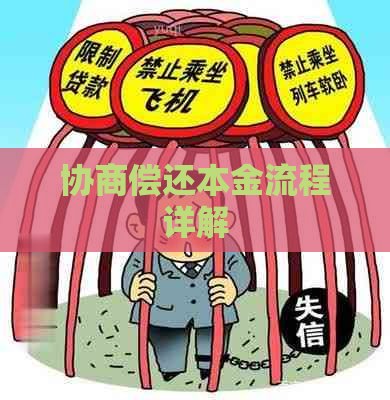 协商偿还本金流程详解