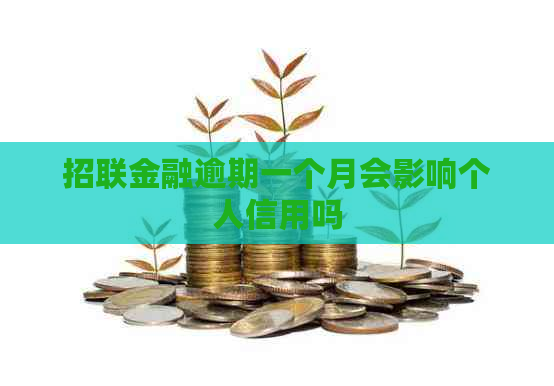 招联金融逾期一个月会影响个人信用吗