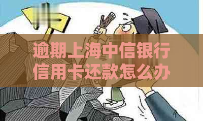 逾期上海中信银行信用卡还款怎么办