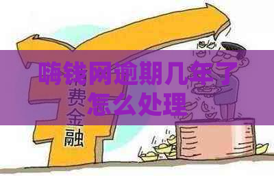 嗨钱网逾期几年了怎么处理