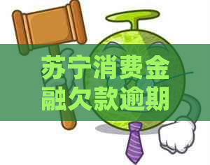 苏宁消费金融欠款逾期会怎么样处理