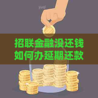 招联金融没还钱如何办延期还款需要注意什么