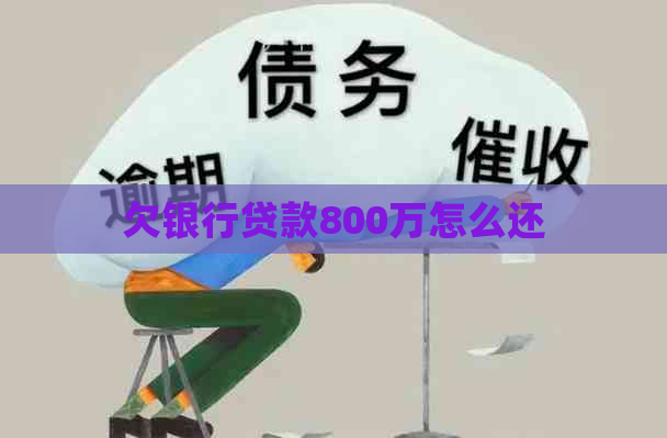 欠银行贷款800万怎么还