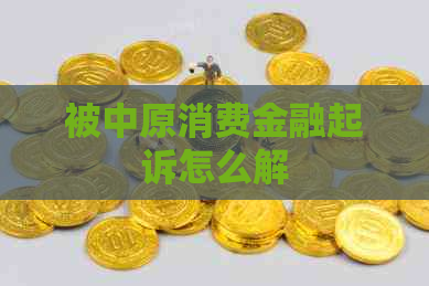 被中原消费金融起诉怎么解